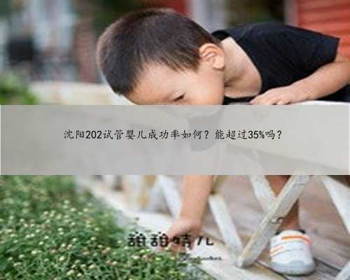 沈阳202试管婴儿成功率如何？能超过35%吗