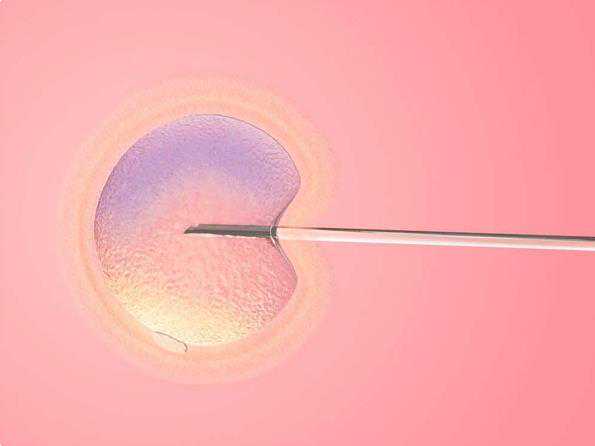 北京试管代孕生子 北京有可以做供卵的私立生殖医院吗？ ‘32周双顶径看男女